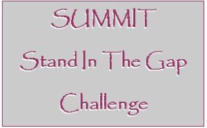 Stand in Gap Challenge Logo