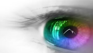 Vision Cover Left Eye with Logo